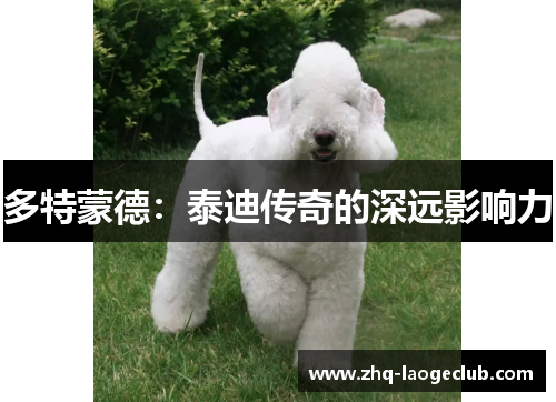 多特蒙德：泰迪传奇的深远影响力