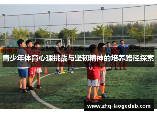 青少年体育心理挑战与坚韧精神的培养路径探索