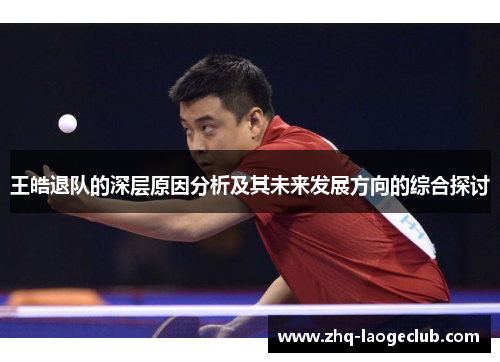 王皓退队的深层原因分析及其未来发展方向的综合探讨